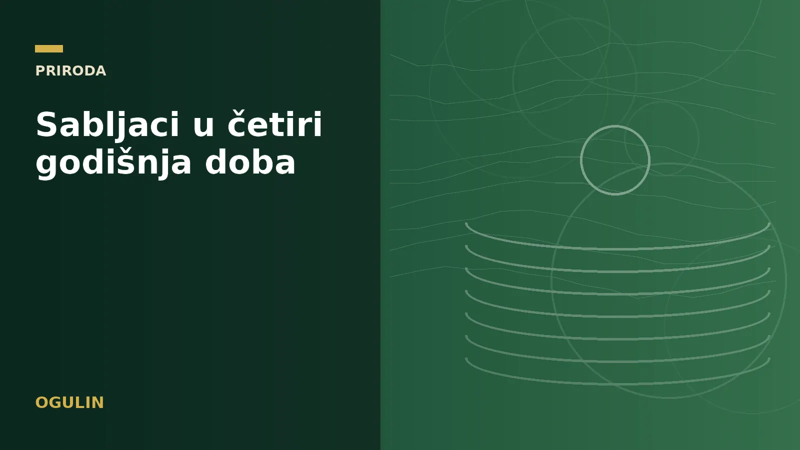 Sabljaci u četiri godišnja doba